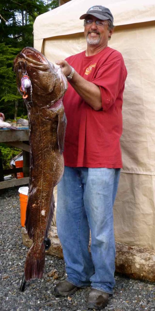 Happy customer jigged up this huge Ling cod!!